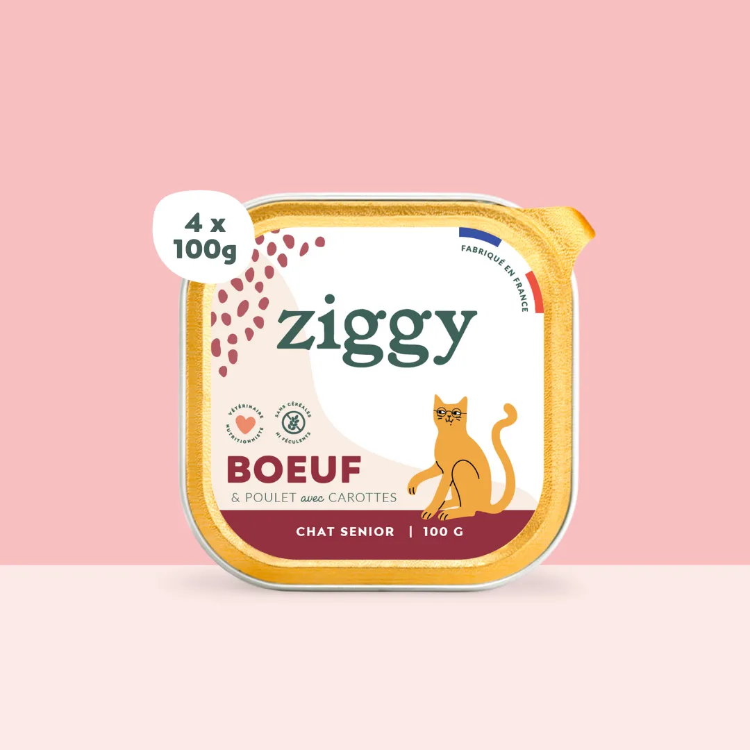 Ziggy Senior natvoer rund 4 x 100 g eiwitrijk