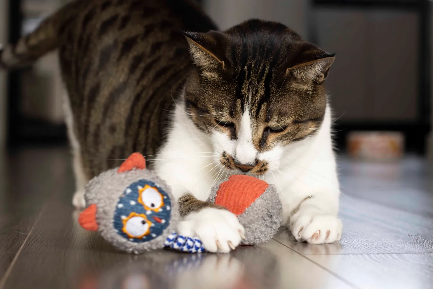 Poezenparadijs Kattenknuffel trappelballetjes kattenspeelgoed