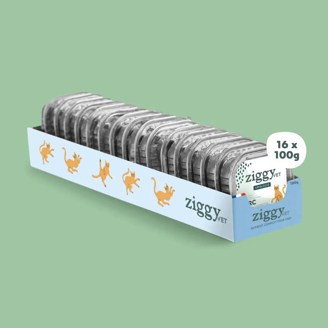Ziggy VET natvoer kat urinewegen varken 4 x 100 g