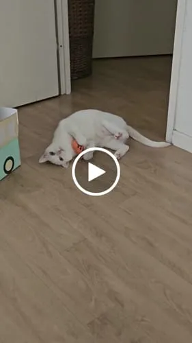 Ziggy Hart kattenspeeltje catnip katoen