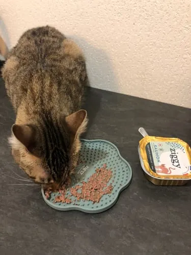 Ziggy Cool Cat Club likmat kat geel siliconen