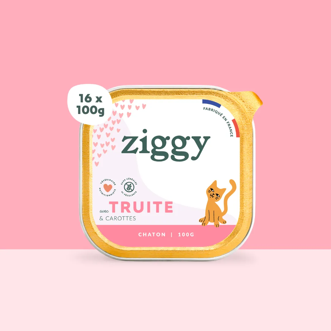 Ziggy kitten natvoer forel 16 x 100 g zetmeelvrij