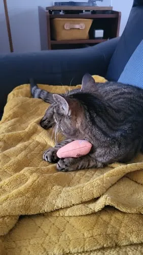 Ziggy Hart kattenspeeltje catnip katoen
