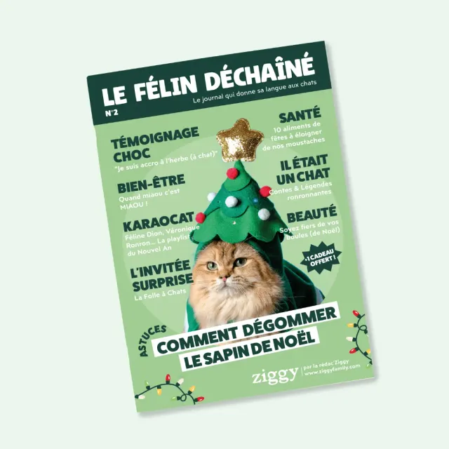 Ziggy Félin Déchaîné Issue 2 kattenmagazine Frans