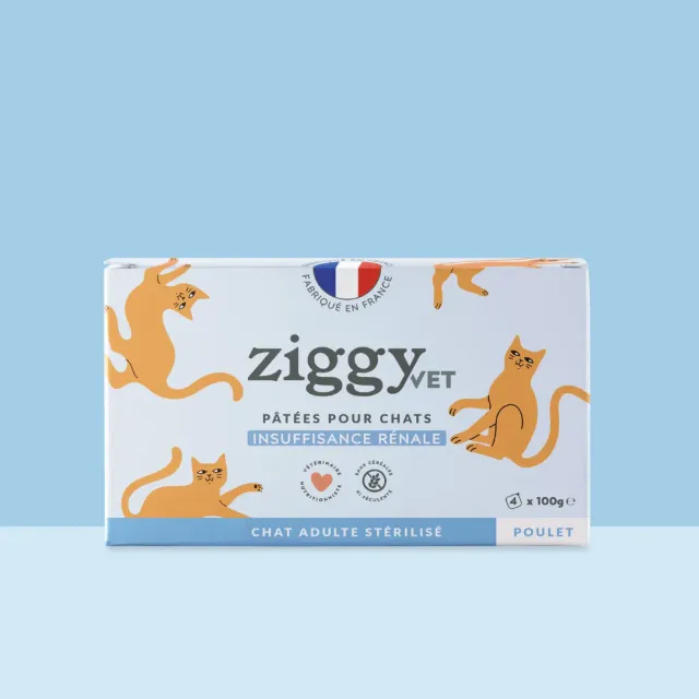 Ziggy VET CKD natvoer kat kip 4x100g nierdieet