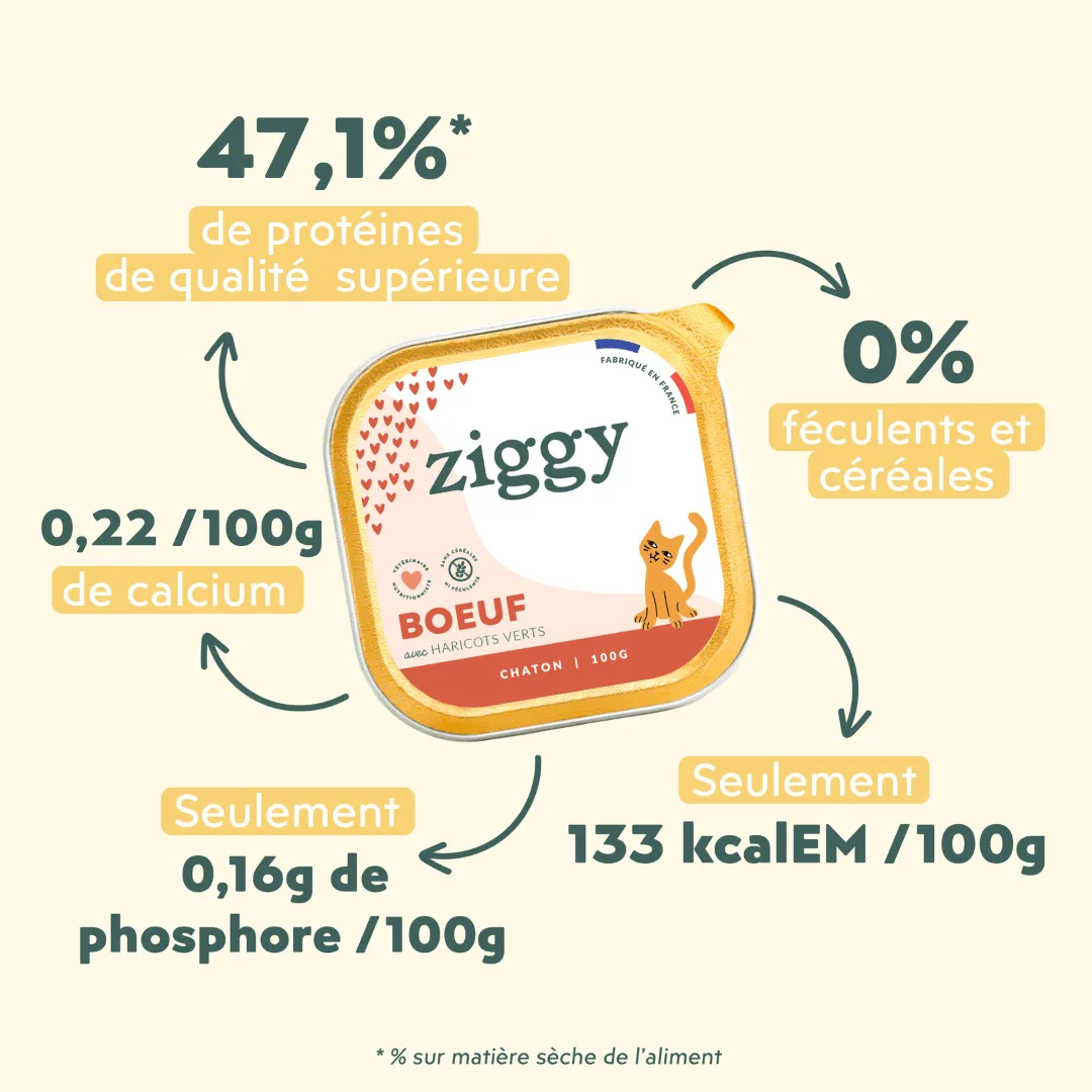 Ziggy kitten natvoer rund graanvrij 4x100g eiwitrijk