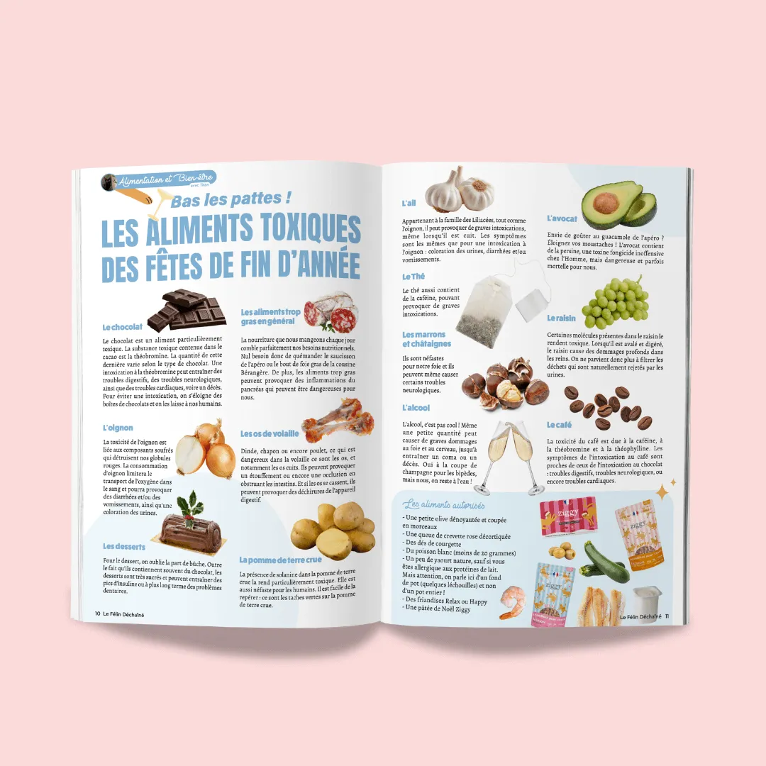 Ziggy Le Félin Déchaîné tijdschrift katten editie 13