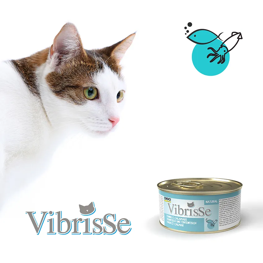 Vibrisse Natural kip natvoer kat 70g gestoomd