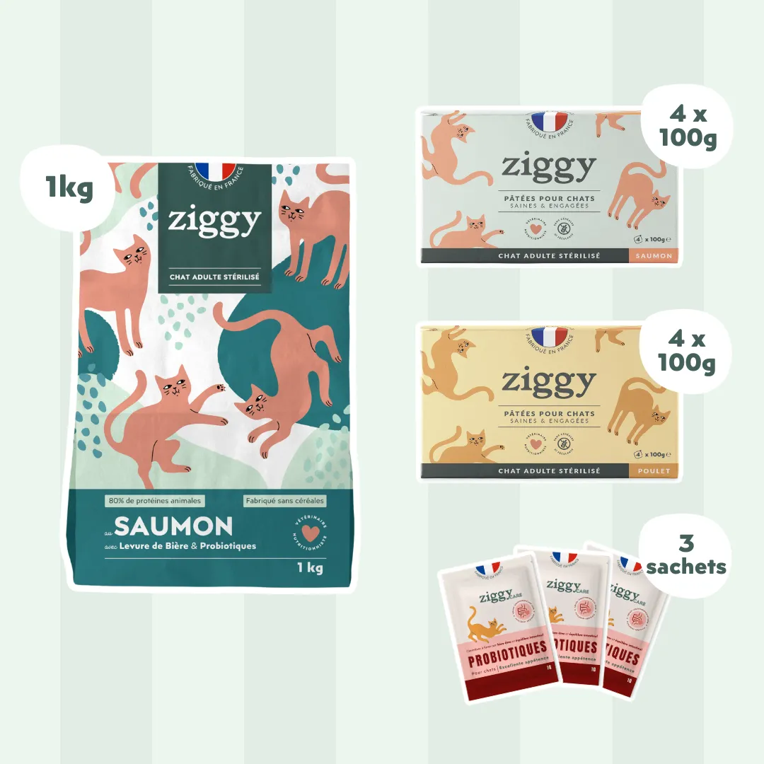 Ziggy Discovery Box kat kip brokken natvoer 1 kg + 8 x 100 g