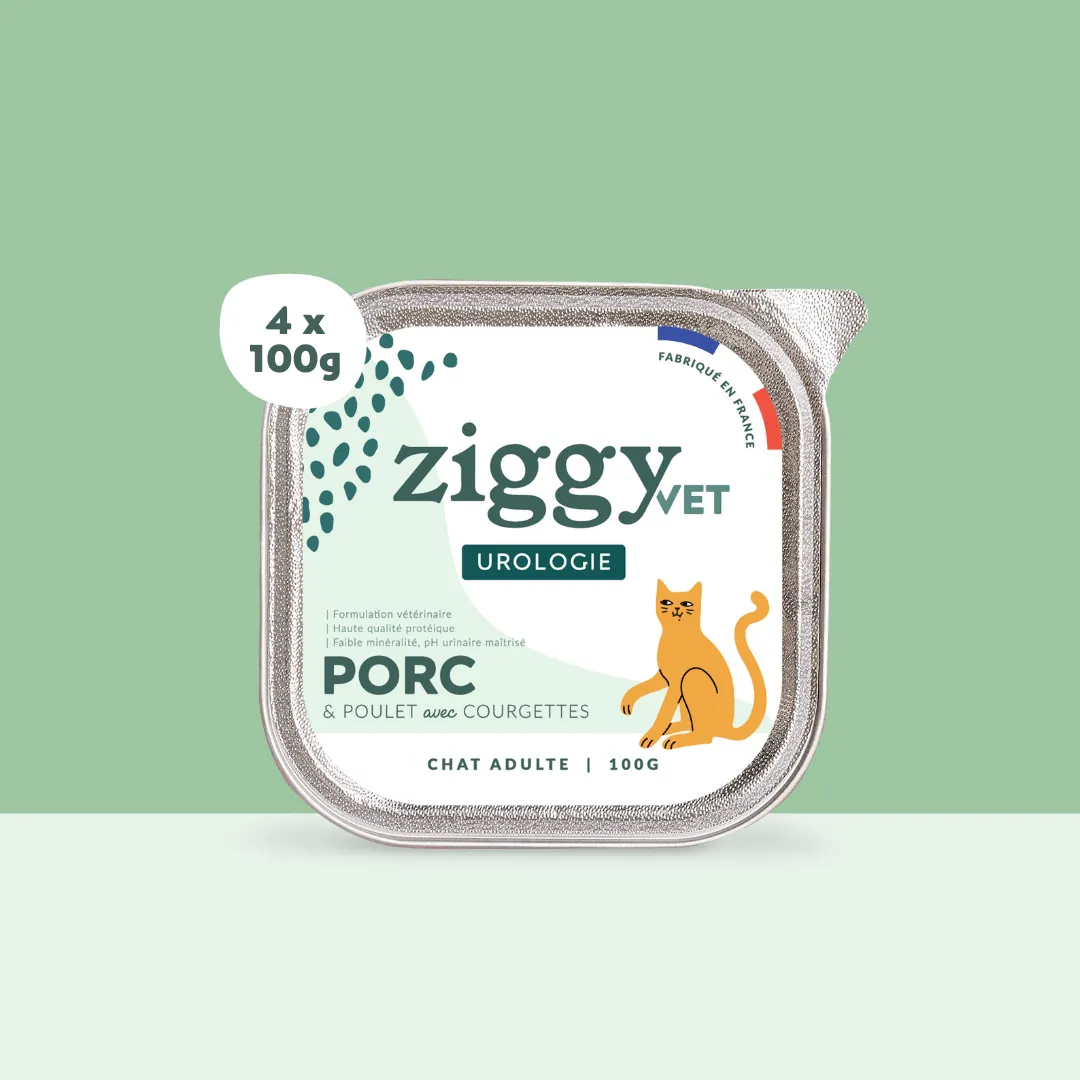 Ziggy VET Urinary natvoer kat 4x100g blaas