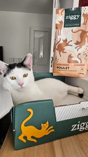 Ziggy Sterilised Adult brokken kip 2,5 kg graanvrij