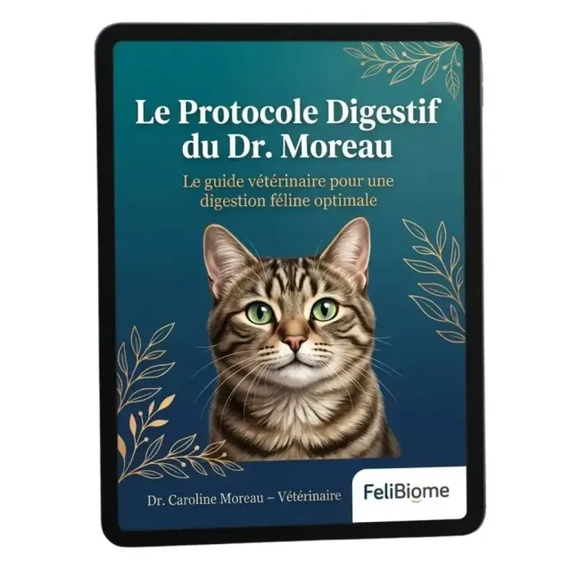 Felibiome Protocole Digestif Dr Moreau gids spijsvertering
