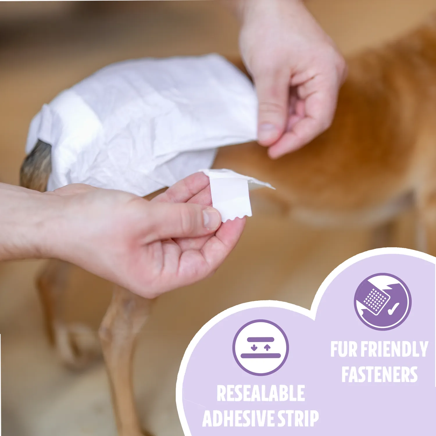 EASYPETS Hondenluiers Teef 30 stuks S/M absorberend