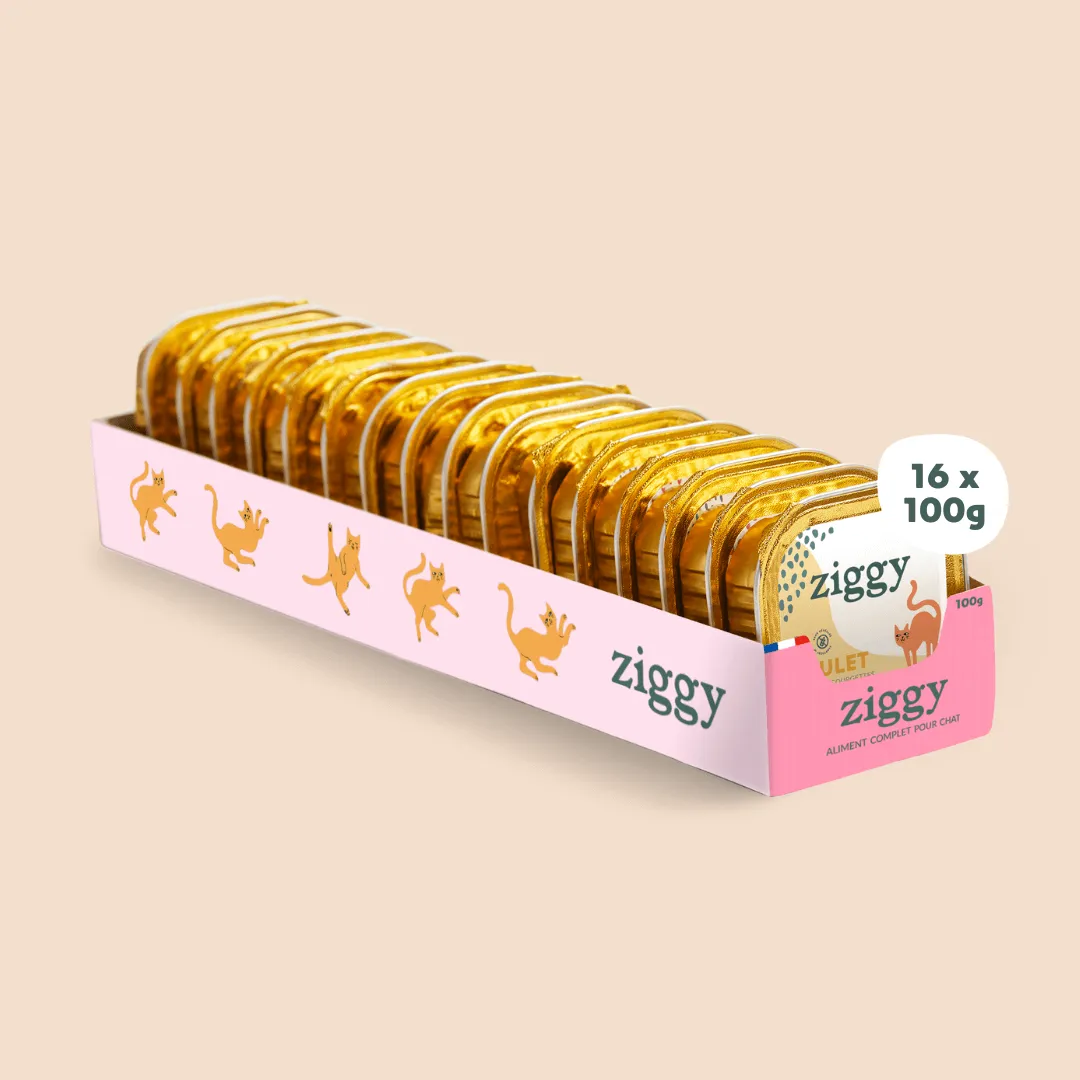 Ziggy graanvrij natvoer gesteriliseerde kat kip 4x100g
