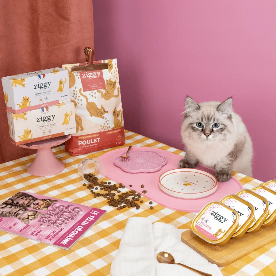 Ziggy Lovely Kitten kattenbord keramiek ondiep kitten