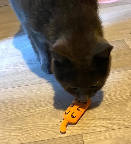 Ziggy Mascot kattenspeeltje catnip katoen