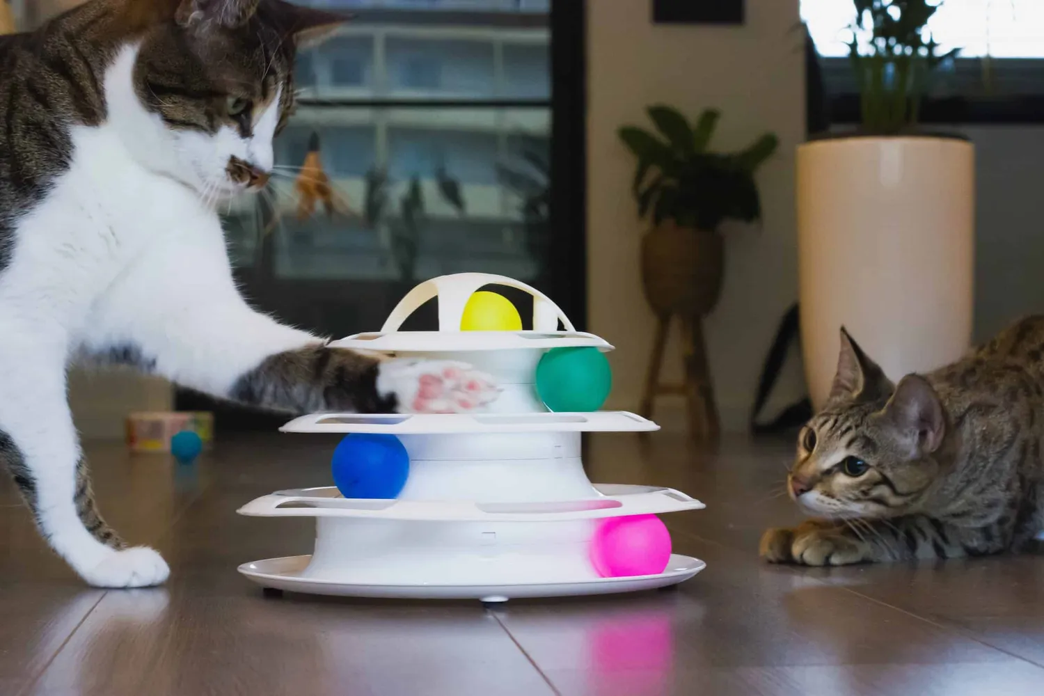 Poezenparadijs Katten Speeltoren 4 Levels met Ballen antislip