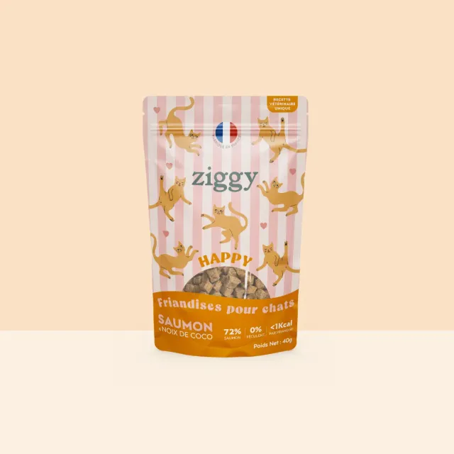 Ziggy Happy Cat Treats kattensnoepjes met zalm 40g graanvrij