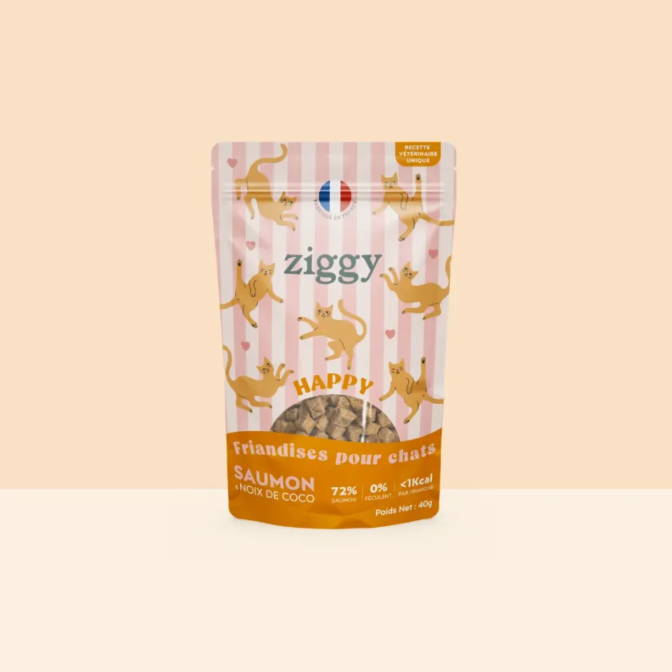 Ziggy Happy Cat Treats kattensnoepjes met zalm 40g graanvrij