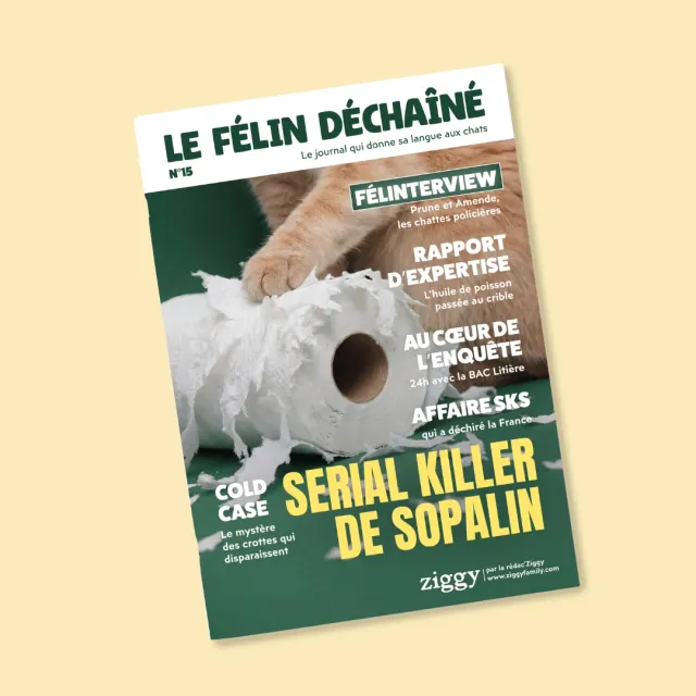 Ziggy Le Félin Déchaîné tijdschrift editie nr 15