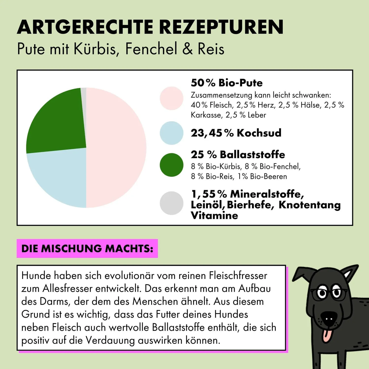 STRAYZ Pute Kürbis hondenvoer nat 400g glutenvrij