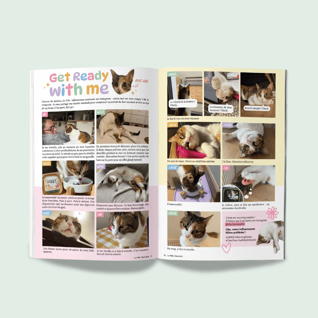 Ziggy Félin Déchaîné Issue 10 kattentijdschrift Frans