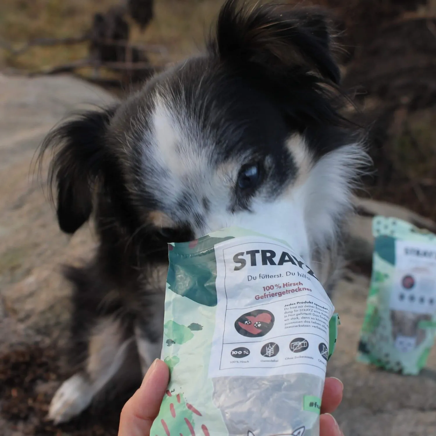 STRAYZ 100% hert snacks hond kat gevriesdroogd