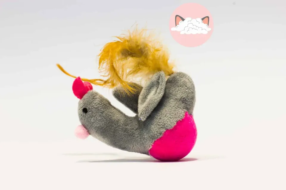 Poezenparadijs Kip & Vogel kattenspeeltje met veren