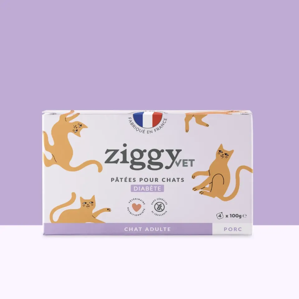 Ziggy VET natvoer diabetes kat 4x100g kip