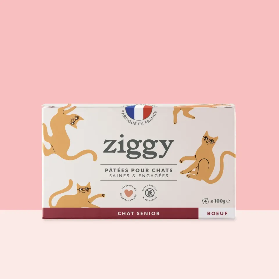 Ziggy Senior natvoer rund 4 x 100 g eiwitrijk