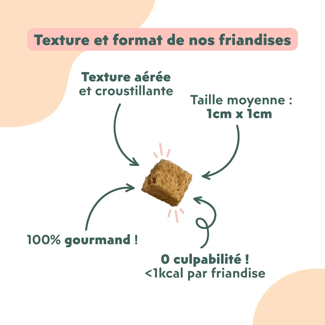 Ziggy Happy Cat Treats kattensnoepjes met zalm 40g graanvrij