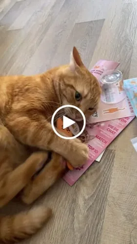 Ziggy Mascot kattenspeeltje catnip katoen
