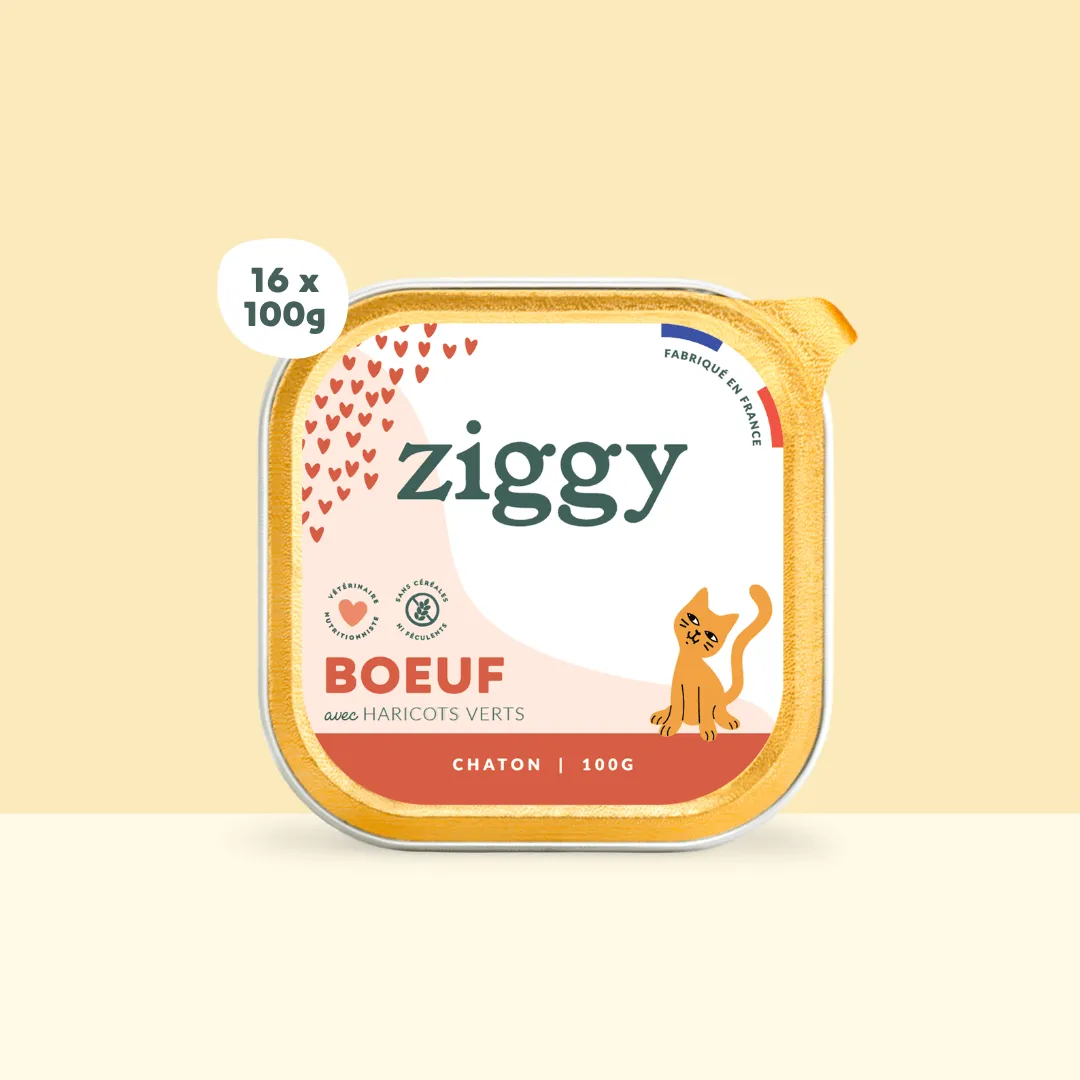 Ziggy Kitten natvoer rund 16 x 100g graanvrij