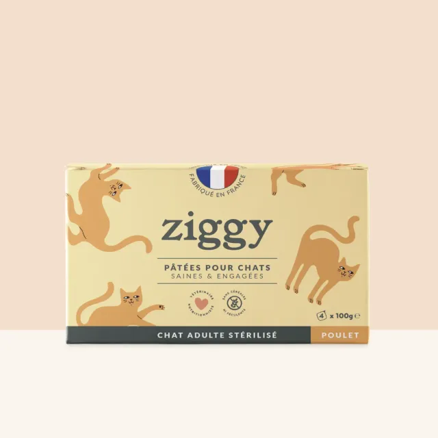 Ziggy Natvoer kat kip 4x100g compleet