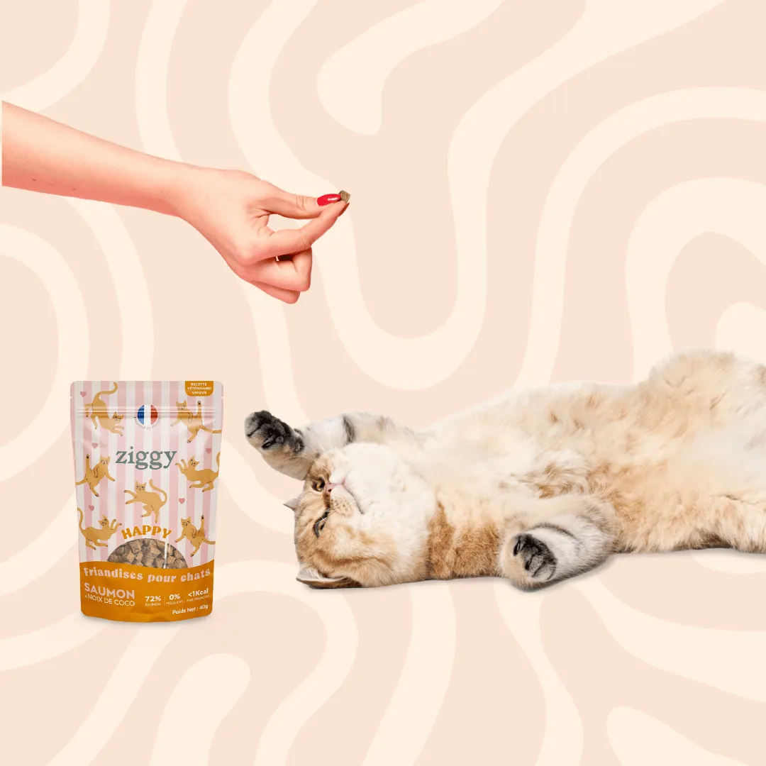 Ziggy Happy Cat Treats kattensnoepjes met zalm 40g graanvrij