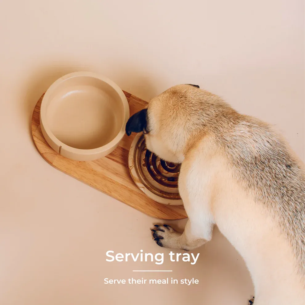 Pino Pets Tray dienblad voor voerbakken kat