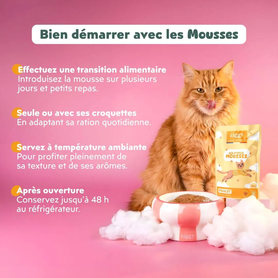 Ziggy Sterilized Mousse kattenvoer kip 12x85g graanvrij