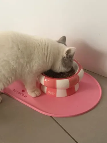 Ziggy Cool Cat Club voerbak roze keramiek