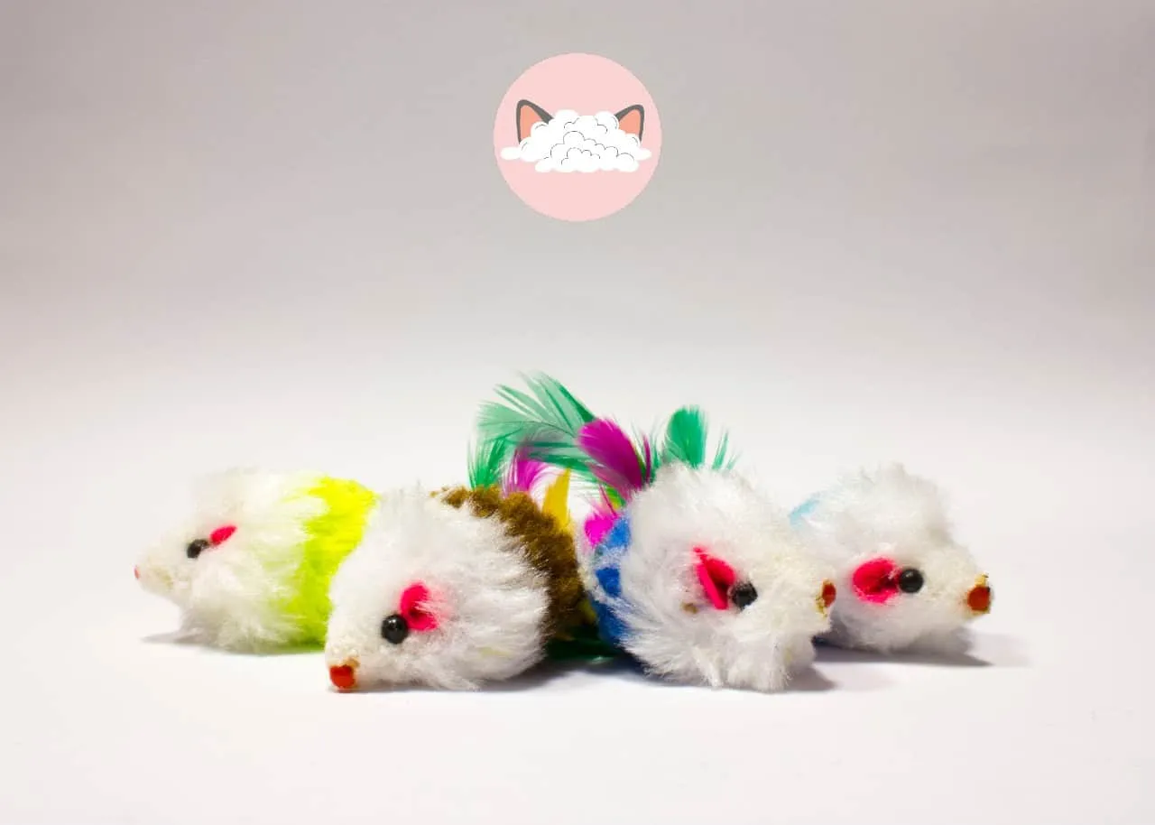 Poezenparadijs kittenpakket 10-delig speelset