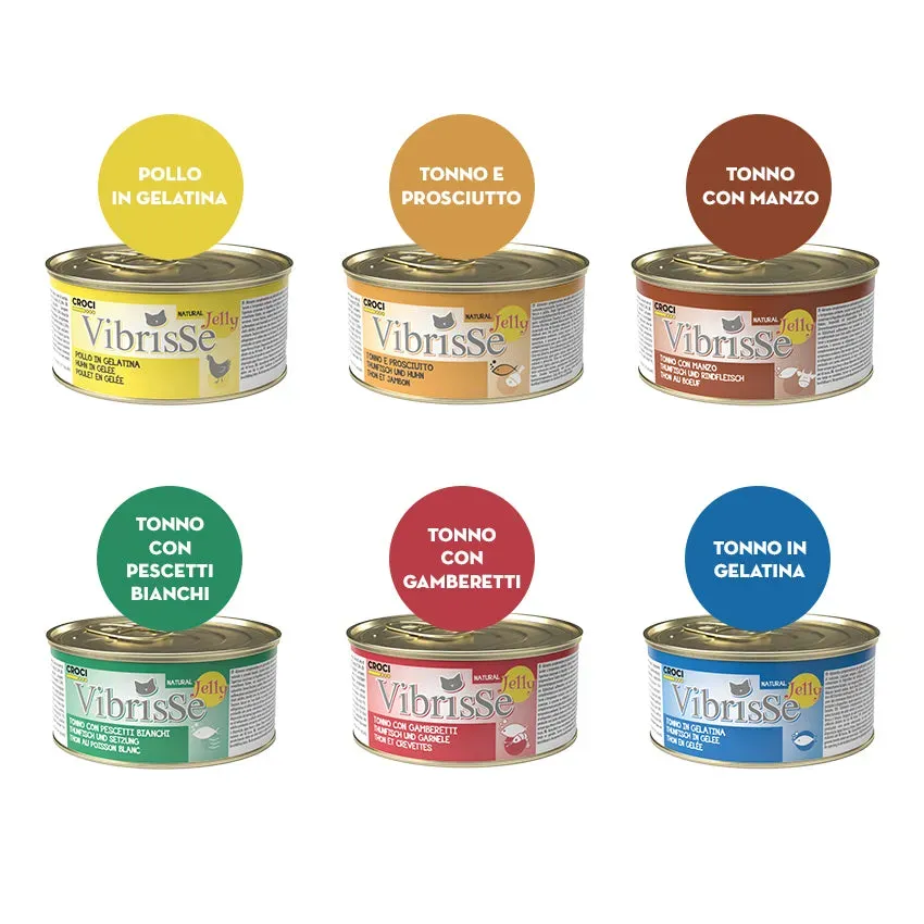 Vibrisse Jelly kip natvoer kat 70g blik gelei