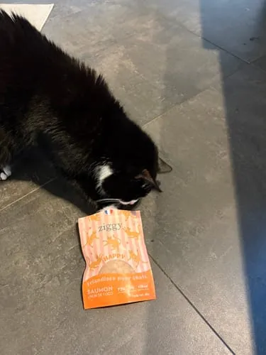 Ziggy Relax kattensnoepjes zalm valeriaan 40g graanvrij
