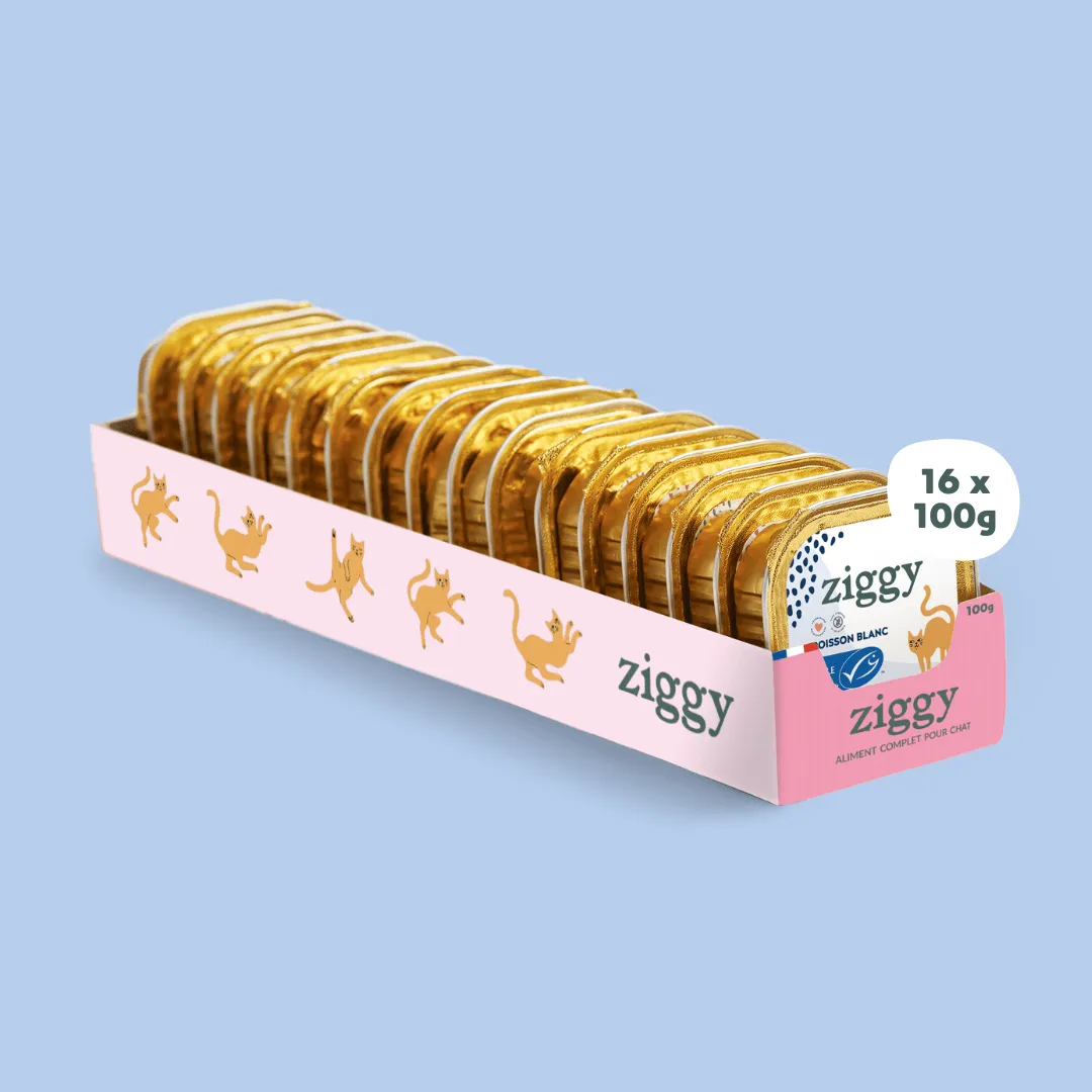 Ziggy Gesteriliseerde Kat Witvis natvoer 4 x 100 g graanvrij