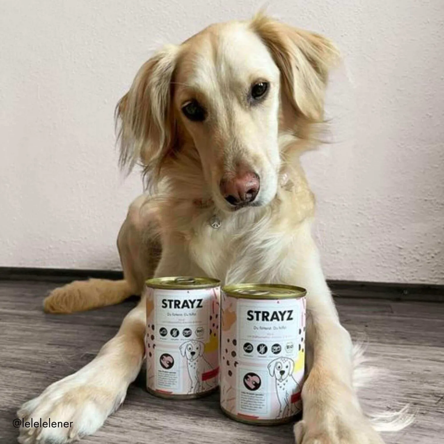 STRAYZ natvoer hond rund 400g zoete aardappel graanvrij