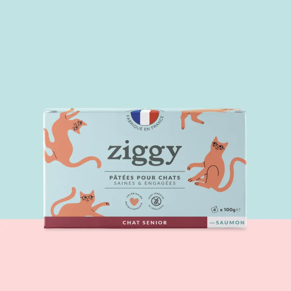 Ziggy senior natvoer kat zalm 4 x 100 g
