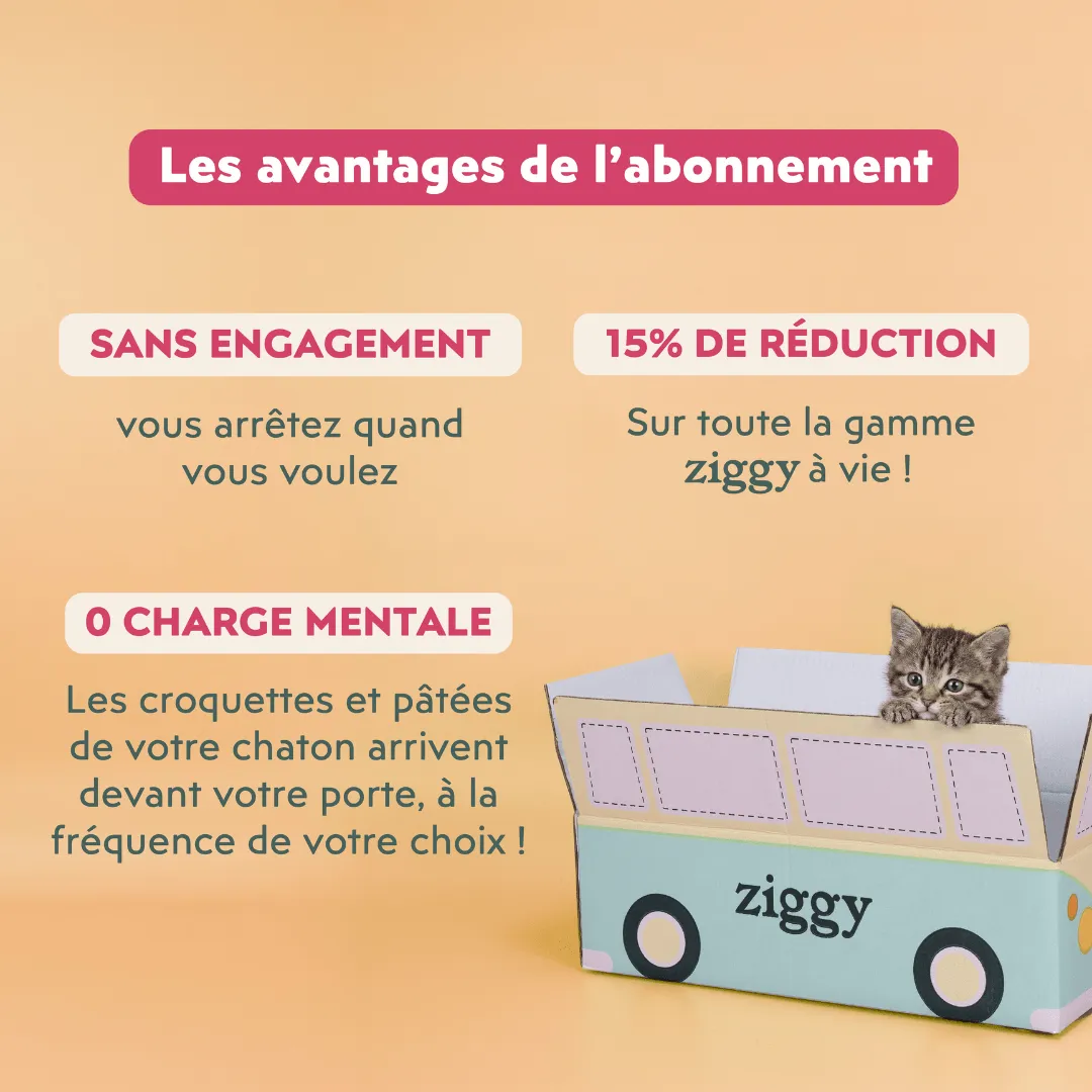 Ziggy Kitten Starter Kit startpakket 2-4 maanden