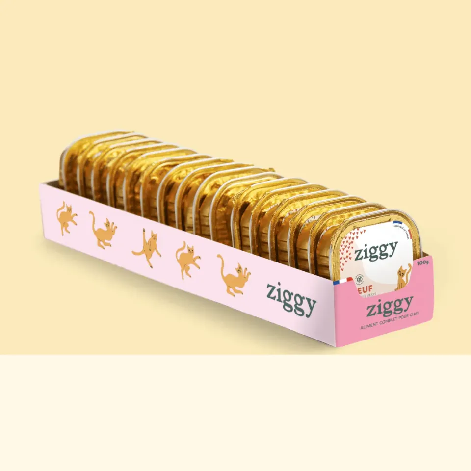 Ziggy Kitten natvoer rund 16 x 100g graanvrij