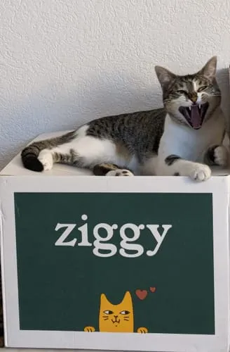 Ziggy brokken gesteriliseerde kat zalm 1 kg graanvrij