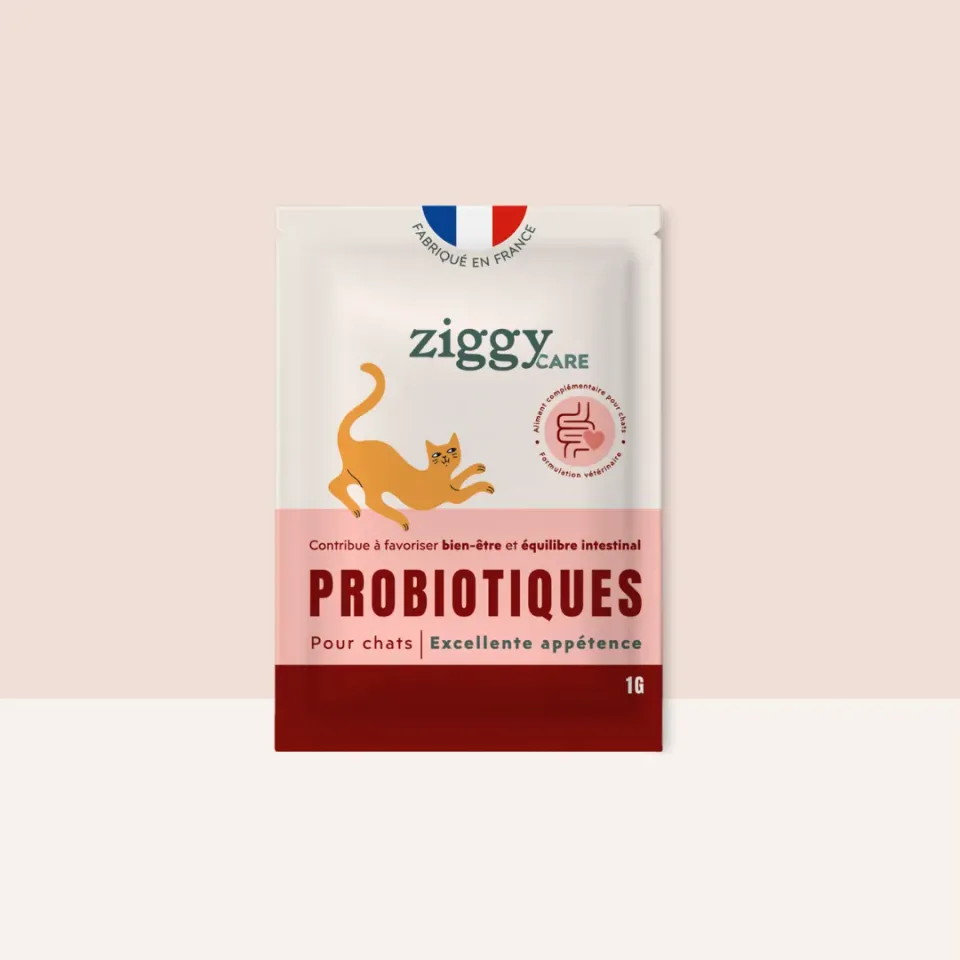 Ziggy Care probiotica kat 3 zakjes darmflora