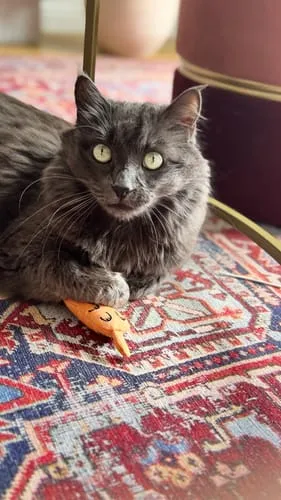 Ziggy Mascot kattenspeeltje catnip katoen