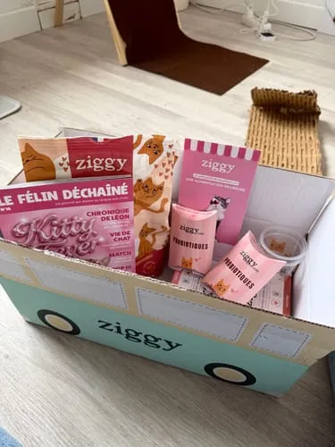 Ziggy Discovery Box kitten brokken natvoer 1 kg + 8 x 100 g